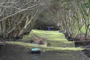 Johns Island Mud Run Crawl 2