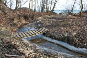 031012-Pedestrian-Bridge-002