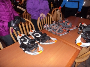 Dion snowshoes
