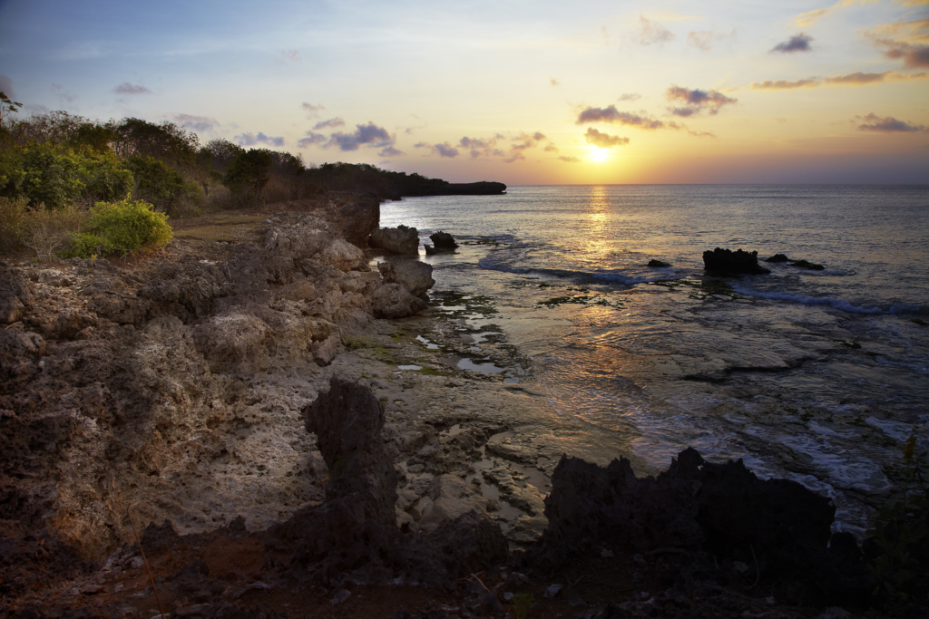 Jimbaran Hijau_Tough Mudder Bali 2016 (3)