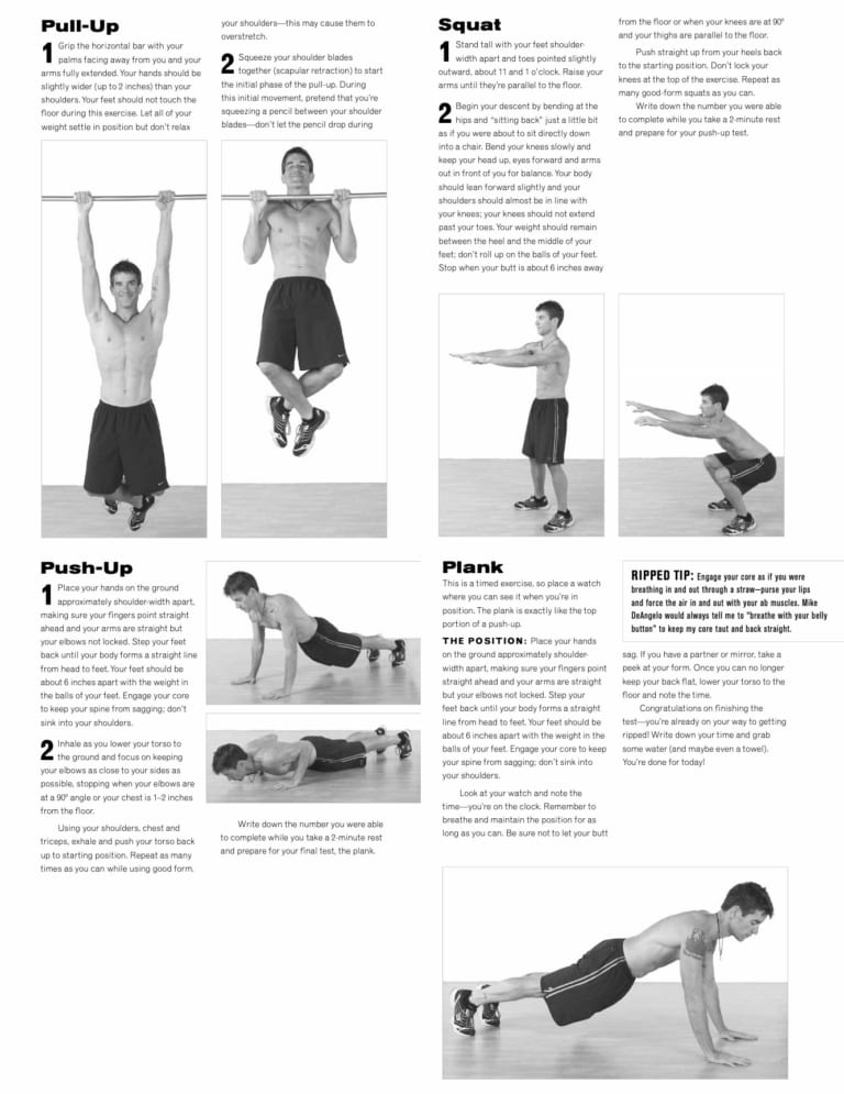 RippedHome Workout Program Free Mud Run, OCR